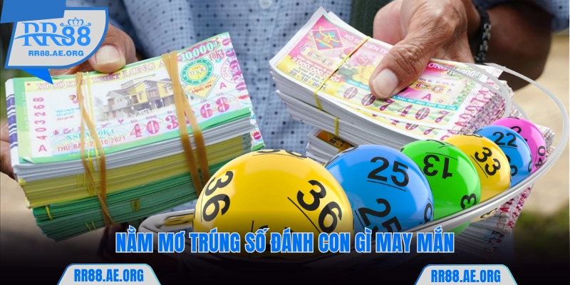 Mơ Trúng Số Đánh Con Gì? RR88 Giải Mã Ý Nghĩa Và Con Đề Lộc Lá 5 Nằm mơ trúng số RR88 đánh con gì may mắn
